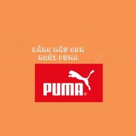 BẢNG MÀU SƠN NGÓI PUMA MỚI